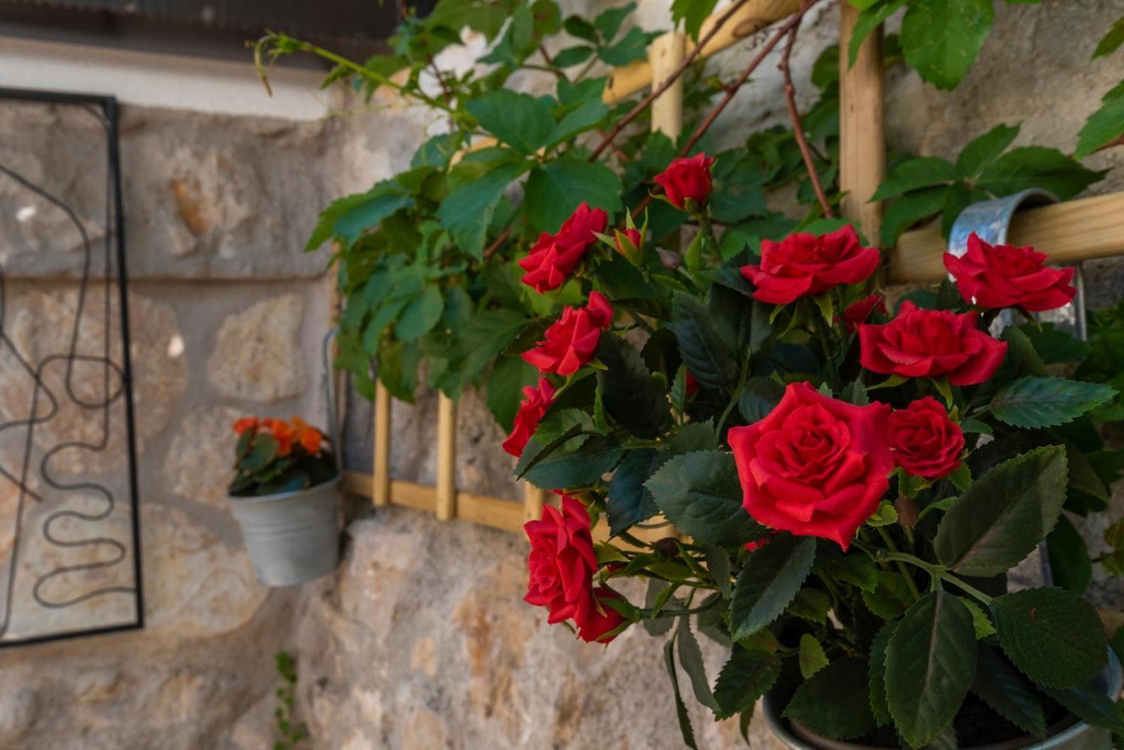 Old Town & Ela Place Guest house