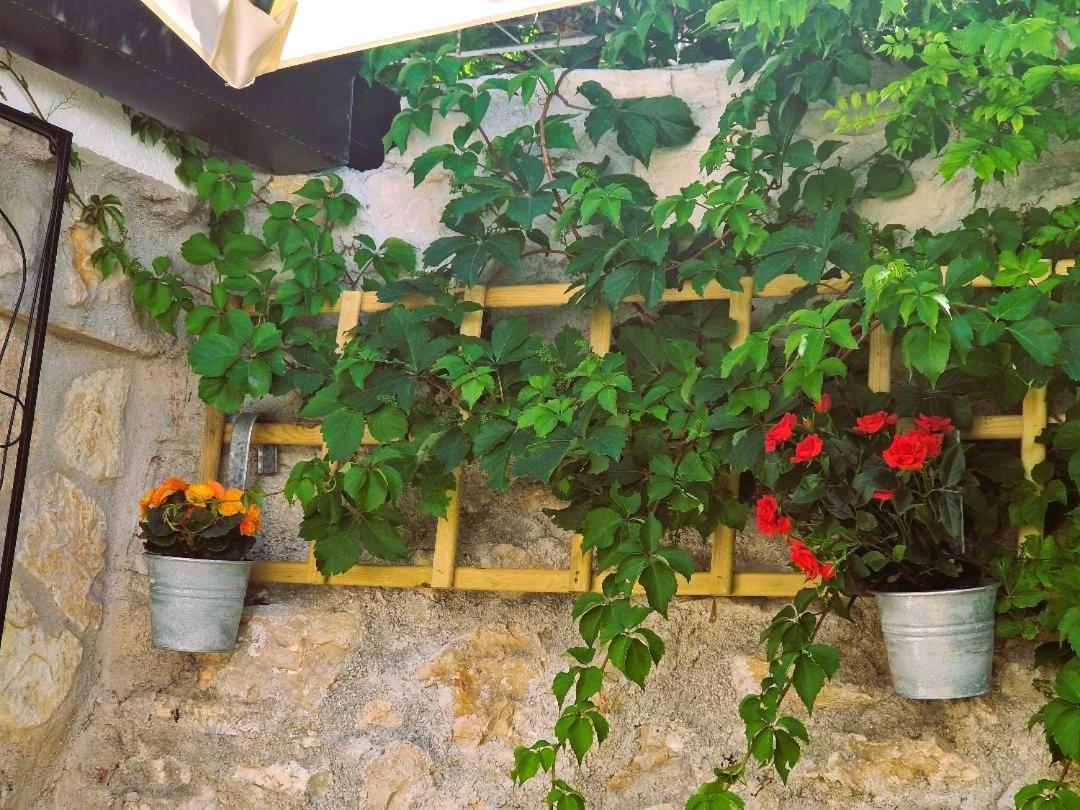 Old Town & Ela Place Penzion Split